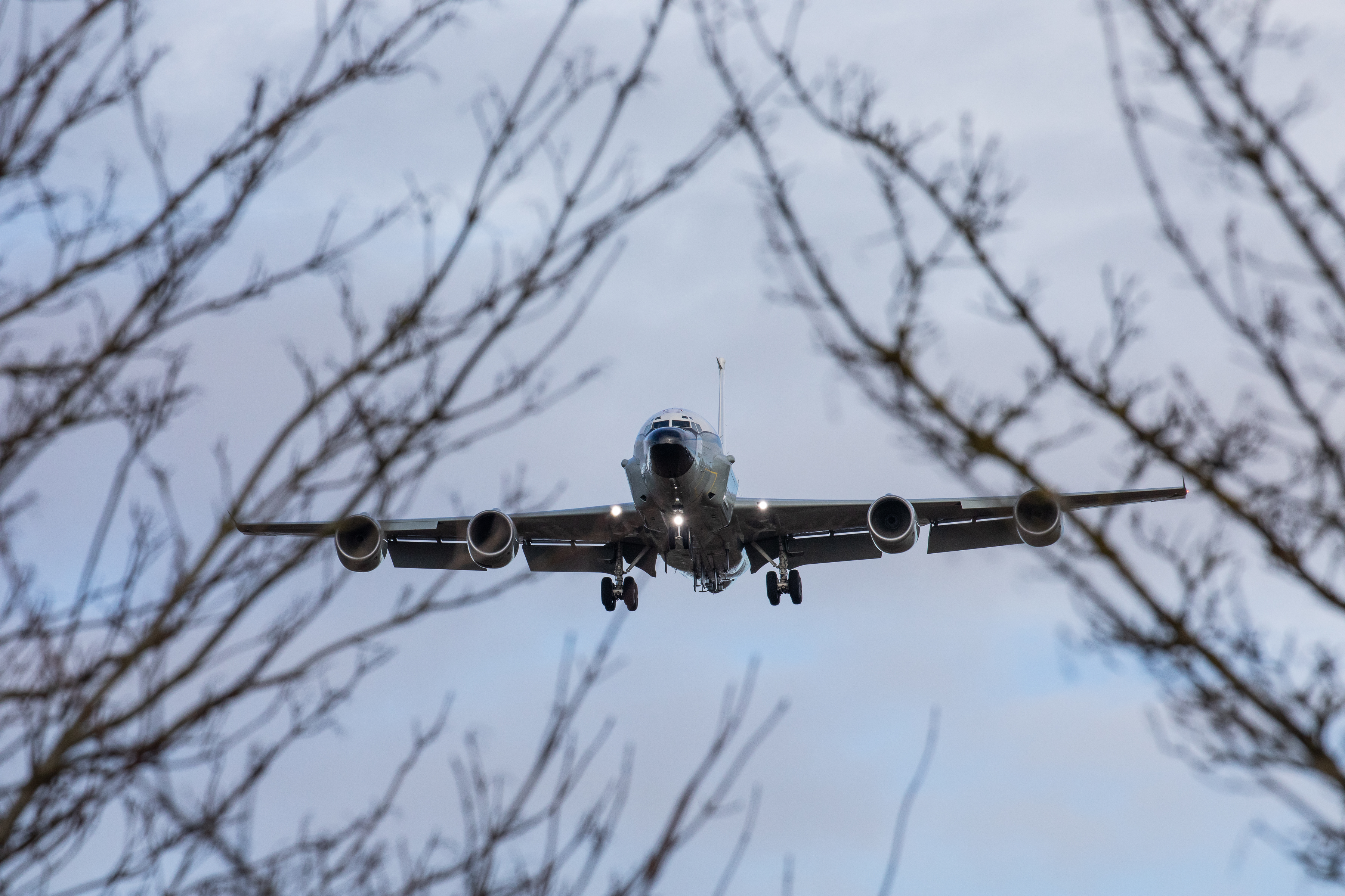 RC-135W Rivet Joint in flight through tree twigs.